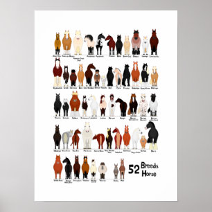 Poster gráfico de raças de 52 cavalos
