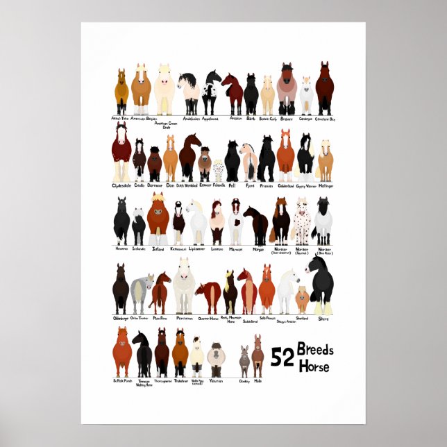 Poster gráfico de raças de 52 cavalos (Frente)