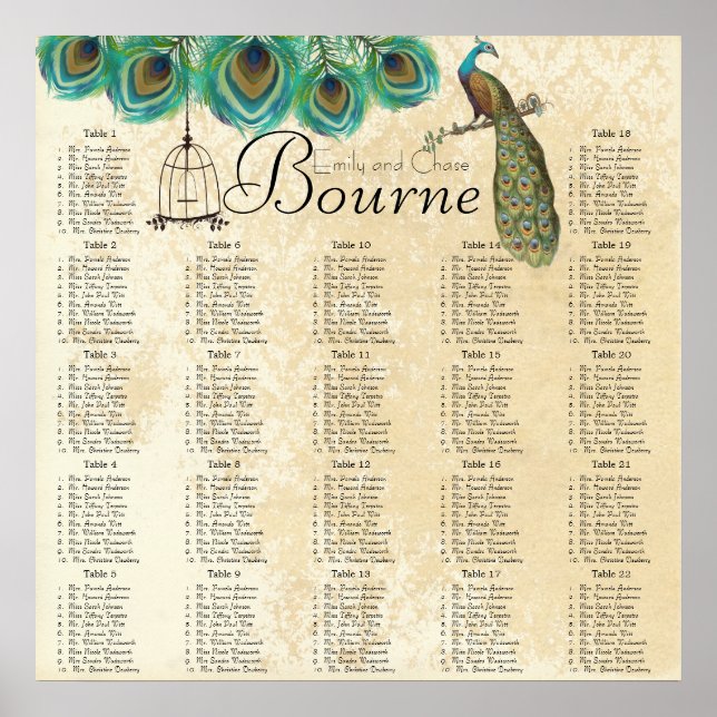 Pôster Gráfico de Recepção de Gaiolas de Pássaros de Pena (Frente)