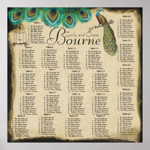 Pôster Gráfico de Recepção de Gaiolas de Pássaros de Pena