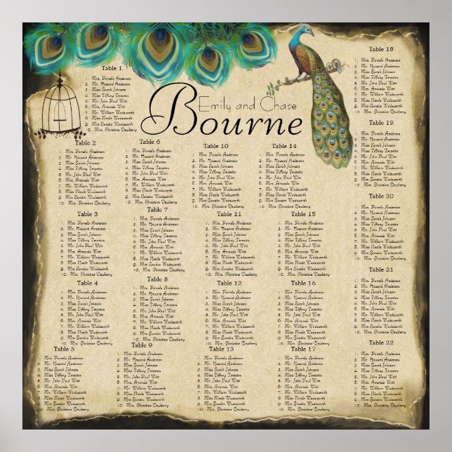 Pôster Gráfico de Recepção de Gaiolas de Pássaros de Pena (Frente)