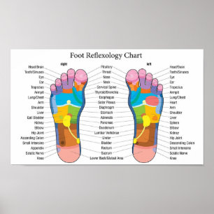 Poster Gráfico de Reflexologia de Pés