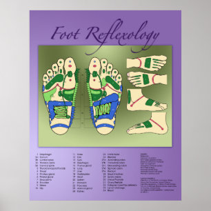 Pôster Gráfico de Reflexologia do Pé