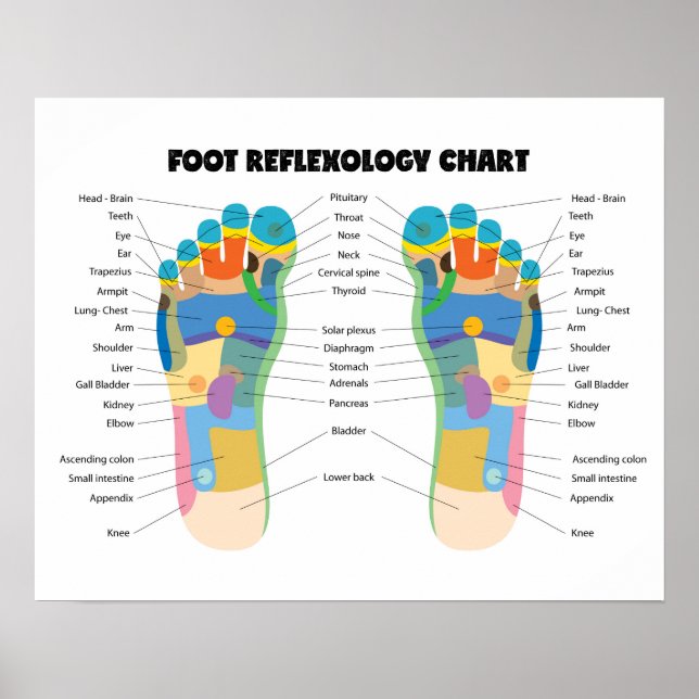 Poster Gráfico de Reflexologia dos Pés 20" x 16" (Matte) (Frente)