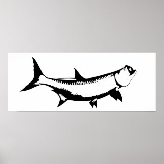 Pôster Gráfico de Tarpon