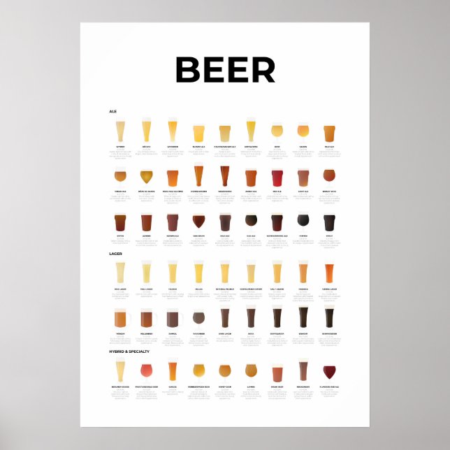 Poster Gráfico de Tipos de Cerveja (Frente)