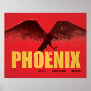 Poster Gráfico de Vingação Phoenix