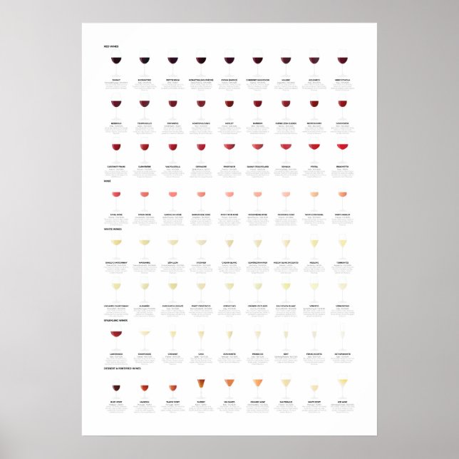 Poster Gráfico do Guia de Vinhos (Frente)