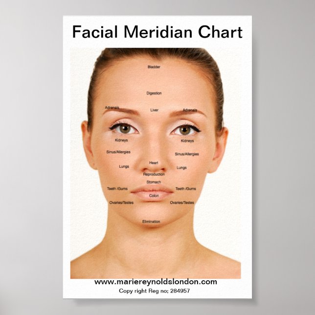 Pôster Gráfico do Meridiano Facial (Frente)