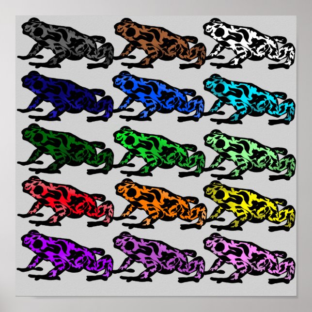 Poster Gráfico do Sapo arco-íris (Frente)