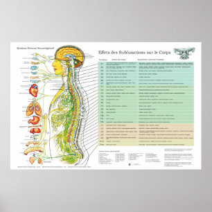 Poster Gráfico dos Nervos Espinais e ANS na Subluxação Fr