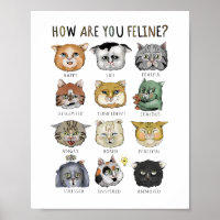 Gráfico Engraçado De Sentimento De Gato Como Você
