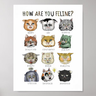 Poster Gráfico Engraçado De Sentimento De Gato Como Você 