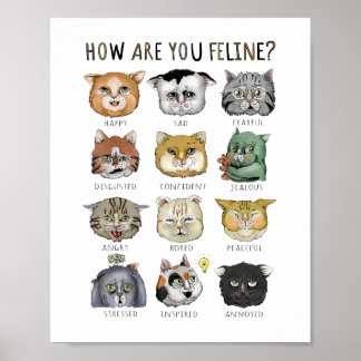 Poster Gráfico Engraçado De Sentimento De Gato Como Você
