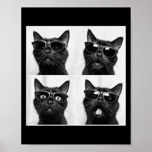 Poster Gráfico Engraçado Gato Fotobooth Selfie Funny_5