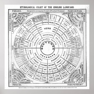 Poster Gráfico etimológico da Língua Inglesa Rev