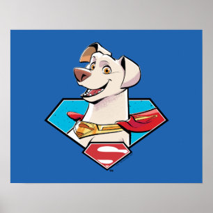 Poster Gráfico Krypto S-Shield