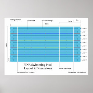 Pôster Gráfico Padrão de Nadagem de Longa Curso FINA