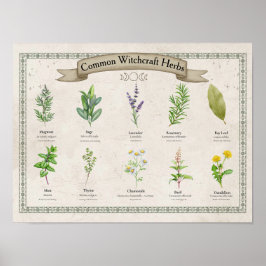 Poster Gráfico Personalizado de Ervas Botânicas Vintage