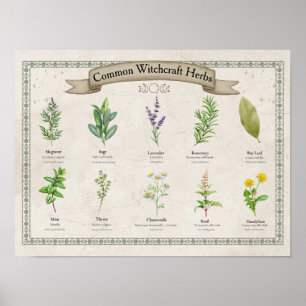 Poster Gráfico Personalizado de Ervas Botânicas Vintage