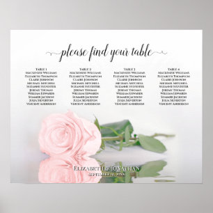 Poster Gráfico Sentado Elegante Rosa Rosa 4 Rosa Esmagada