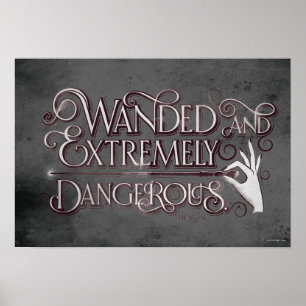 Pôster Gráfico Wanded E Extremamente Perigoso - Branco
