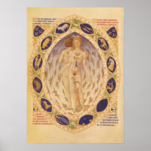 Pôster Gráfico Zodíaco Celestial Antiquado, Astrologia Vi