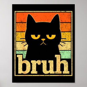 Poster Gráficos do Meme do Gato Bruh – Meme Retro do Gato