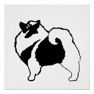 Pôster Gráficos Keeshond - Arte de Cachorro Original