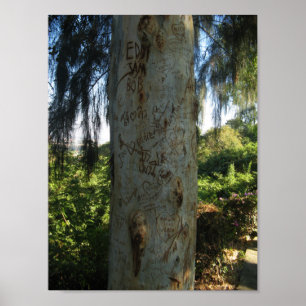 Pôster Grafite de árvore tailandês