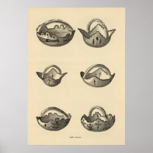 Pôster Grails de Zuni