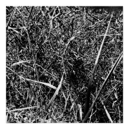 Pôster Grama Alienígena preta