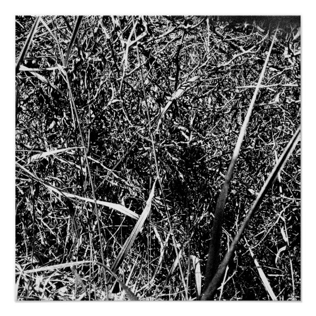 Pôster Grama Alienígena preta (Frente)