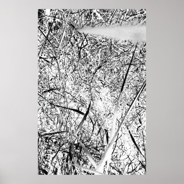 Poster Grama de Alienígena branca (Frente)