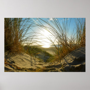Poster Grama de dunas e mar -