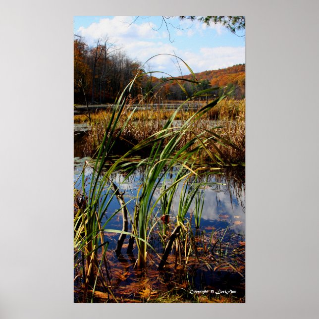 Pôster Grama de pântano (Frente)