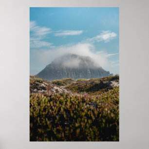 POSTER GRAMA VERDE