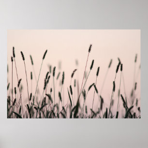 POSTER GRAMA VERDE