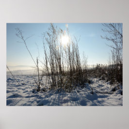 Poster Gramíneas de inverno -