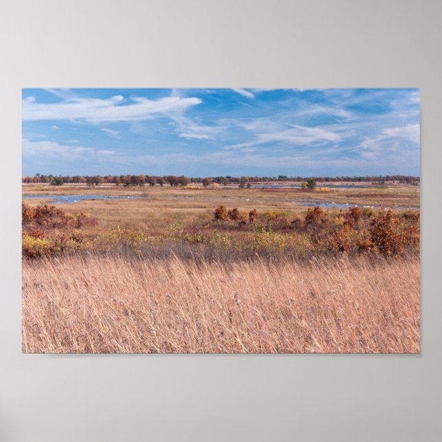Poster gramíneas prairie e zonas úmidas do necedah (Frente)