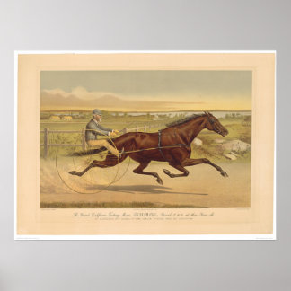 Pôster Grand California Trotting Mare Sunol (0652A)