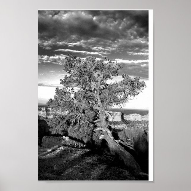 Poster Grand Canyon 03 (Frente)