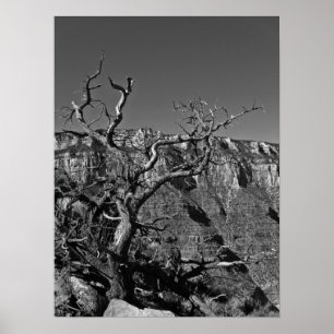 Pôster Grand Canyon #1