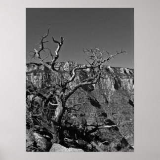 Pôster Grand Canyon #1