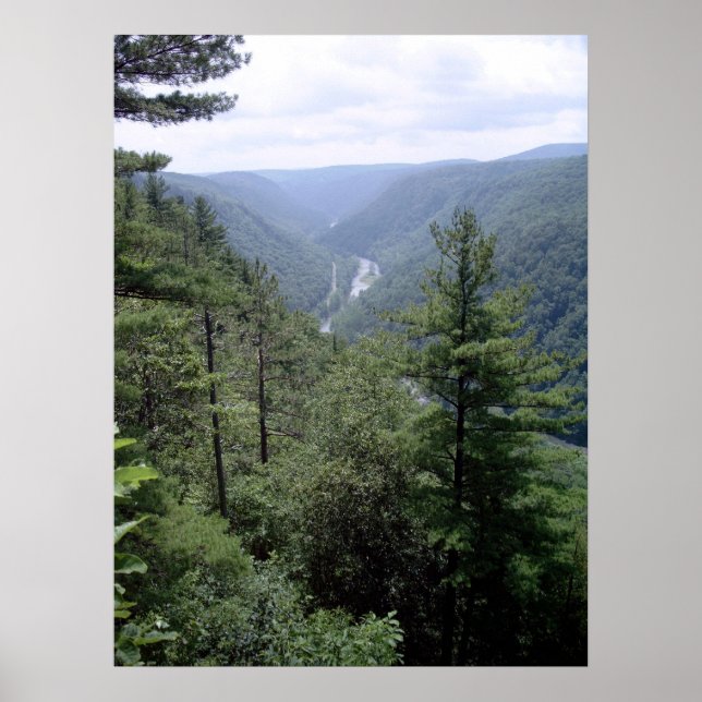 Pôster Grand Canyon da Pensilvânia (Frente)