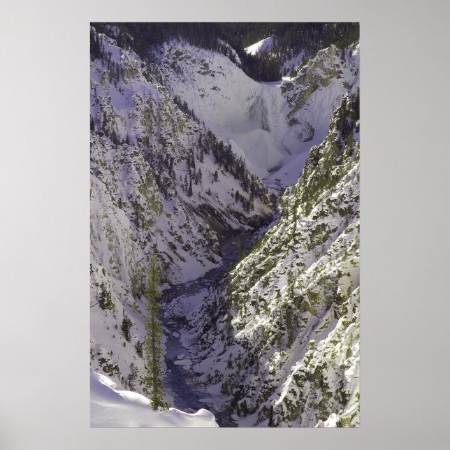 Poster Grand Canyon inferior do Yellowstone (Frente)