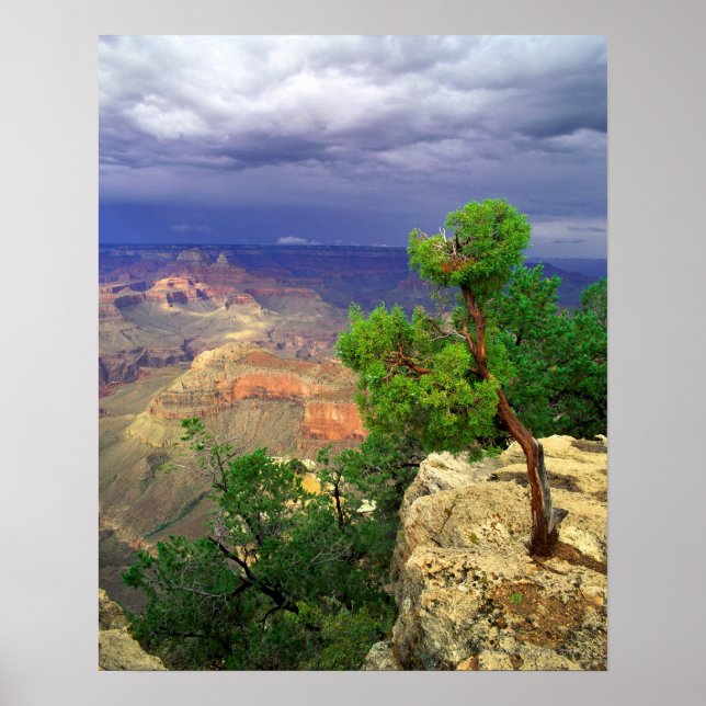 Poster Grand Canyon National Park, Arizona, United 3 (Frente)