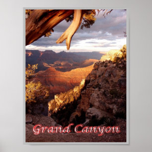 Poster Grand Canyon - Panorama - Estados Unidos -