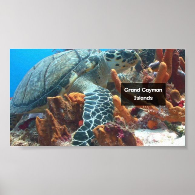 Poster Grand Cayman (Frente)