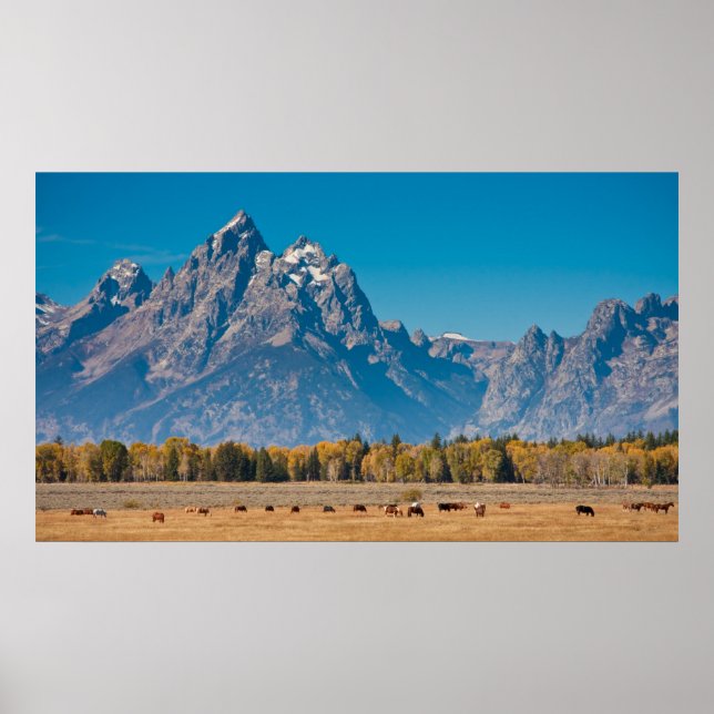 Pôster Grand Teton (Frente)